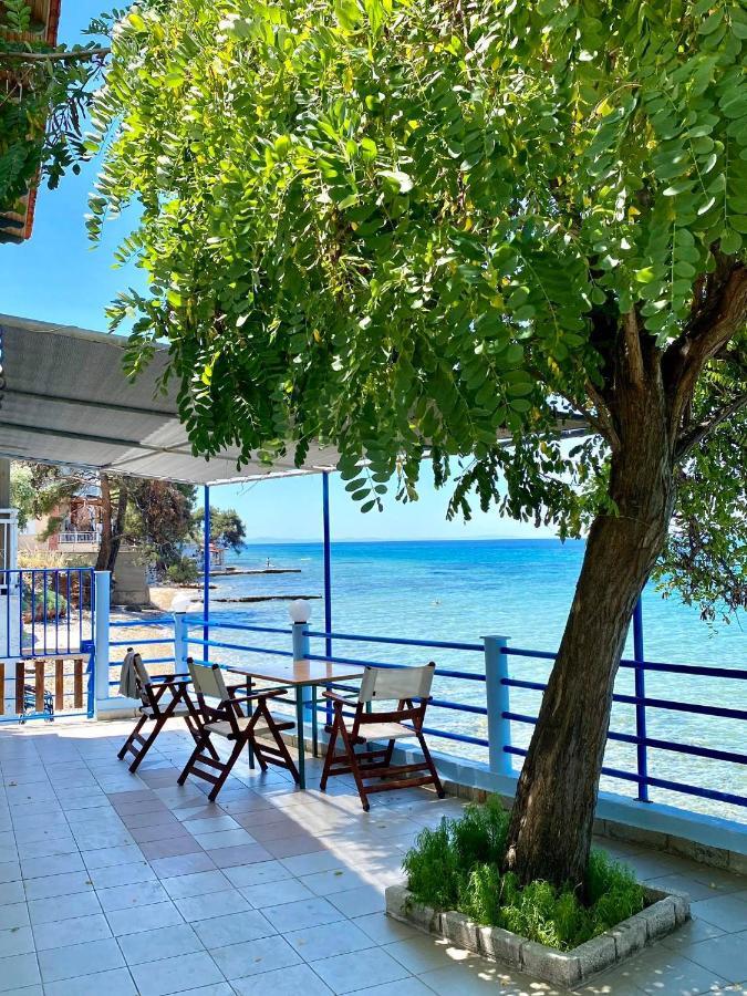 Manolis Studios Thassos Skála Kallirákhis