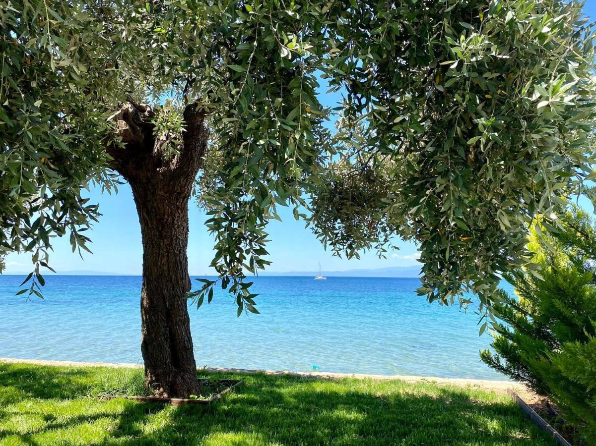 Manolis Thassos Appartement Skála Kallirákhis