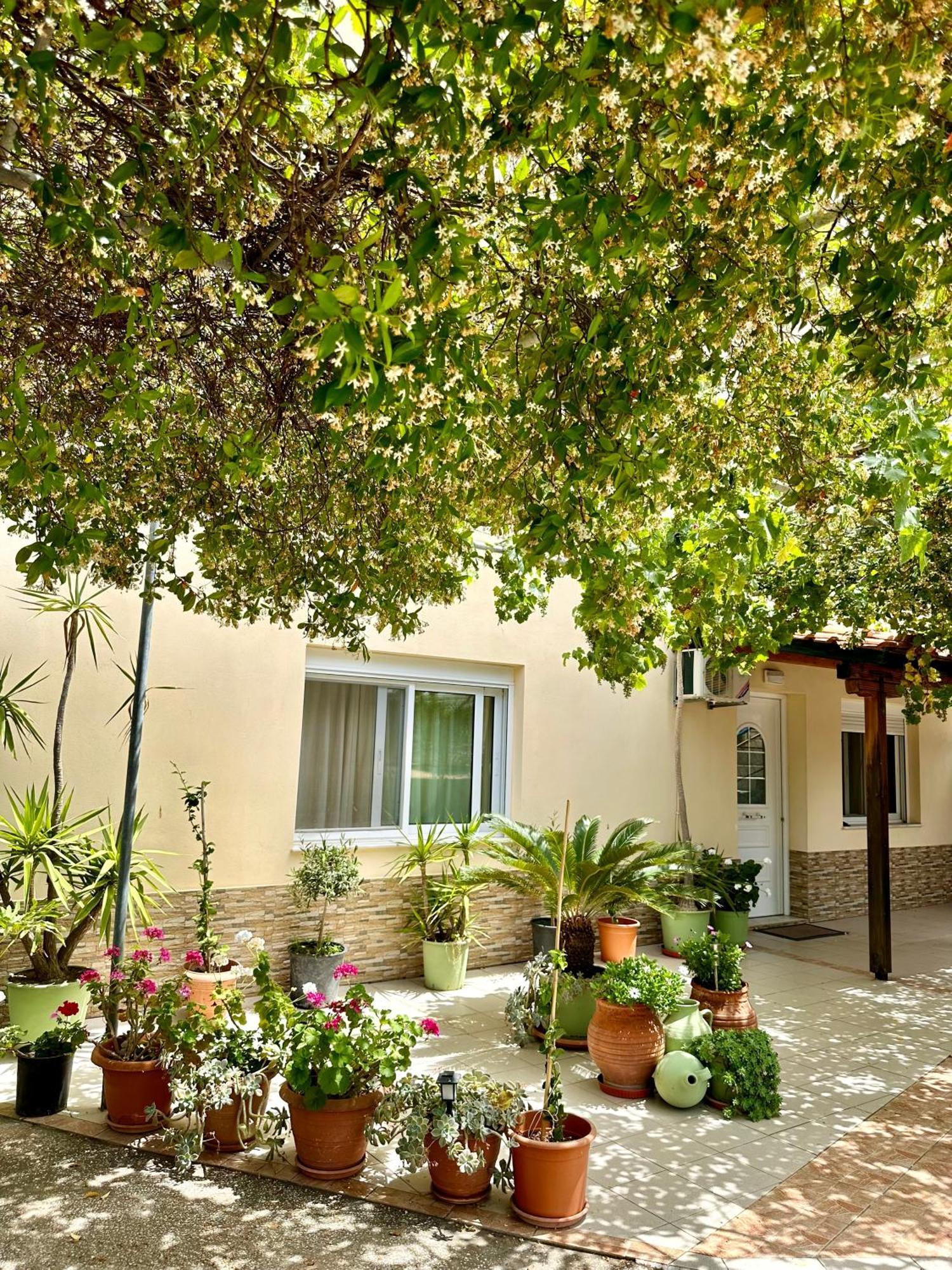 公寓 Manolis Studios Thassos Skála Kallirákhis